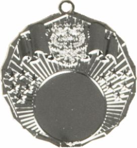 Медаль  MD Rus.502 S